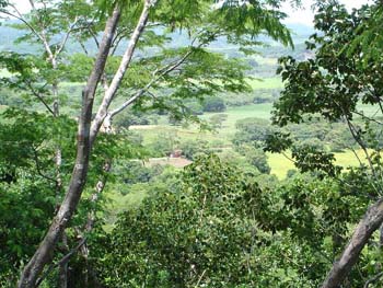 Vue des terrains de santa rosa, costa rica